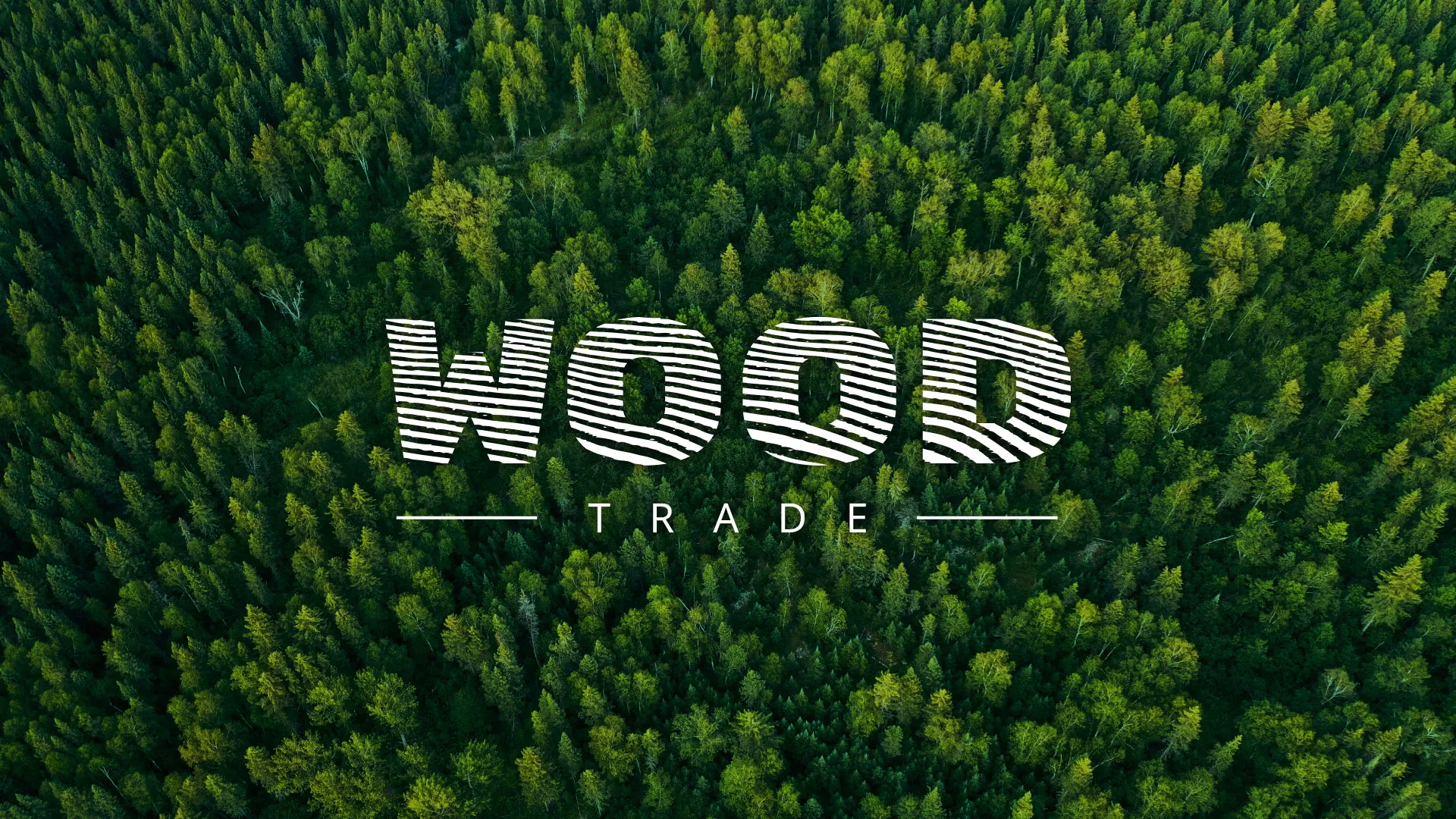 Разработка интернет-магазина компании «Wood Trade» в Елабуге